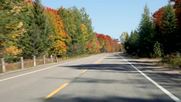 Conduciendo Por Carretera Americana Con Árboles Alrededor Otoño Camino Vacío — Vídeo de stock