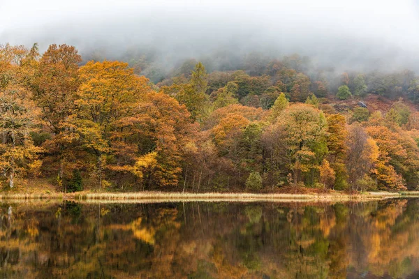 Осенний Вид Деревьев Отражение Воде Туманная Капризная Сцена Озерном Округе — стоковое фото