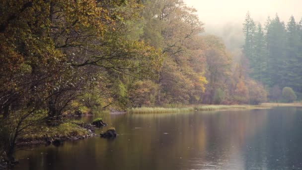 秋天的景色和倒影在水面上 位于英国湖区的薄雾和喜怒无常的场面 在秋季季节与套版叶 主要是橙色和黄色 伟大的背景 — 图库视频影像