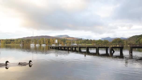 Segelbåtar Och Piren Reflektioner Vattnet Lake District Storbritannien Båtar Ankrade — Stockvideo