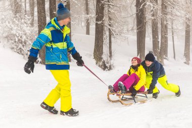 Arkadaşları ile küçük bir kızak kayan kar üzerinde eğleniyor. Kız iki erkek tarafından bir kızak üzerinde varlık itti. Kış sporları ve ayarları, İtalyan Alpleri üzerinde beyaz kar