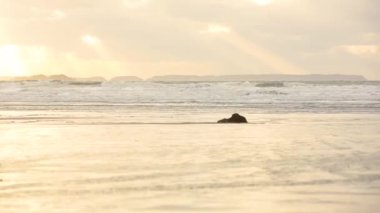 İnsanlar atlar dörtnala, gün batımında sahilde sürme. Bulutlu bir günde seaside, ata binerek üç kişi. Siluet ile backlight. Spor ve seyahat kavramları
