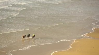 Kumsalda ata binerek insan havadan görünümü. Üç kişi bir boş zaman sahip deniz atları ile beraber yürüyelim. Spor ve macera kavramlar, epik senaryo.