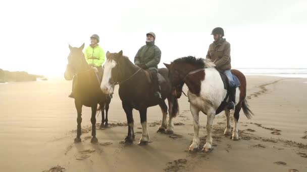 人与马在日落海滩上 三人休息 骑着马后说 与美丽的背光的史诗照片 体育和旅游的概念 — 图库视频影像