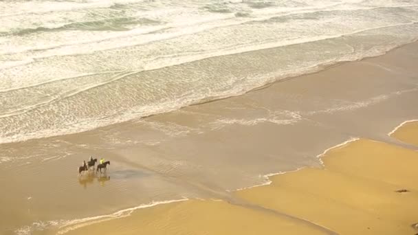 Letecký Pohled Lidí Pláži Jezdeckých Koní Tři Osoby Koňmi Moře — Stock video