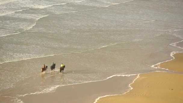 Luchtfoto Van Mensen Paardrijden Paarden Het Strand Drie Personen Met — Stockvideo