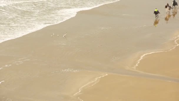 Vista Aérea Gente Montando Caballos Galope Playa Tres Personas Con — Vídeo de stock