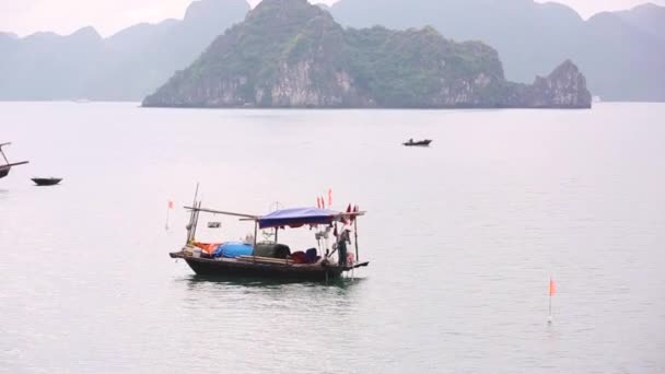 Vietnam Pescador Típico Barco Long Bay Pequeños Barcos Madera Famosa — Vídeo de stock