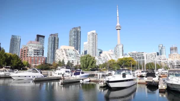 Toronto Skyline View Mólós Előtérben Modern Épületek Felhőkarcolók Toronto Ontario — Stock videók