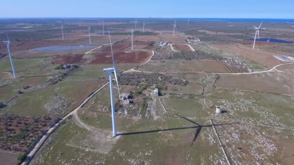 Windturbines voor de opwekking van elektriciteit — Stockvideo