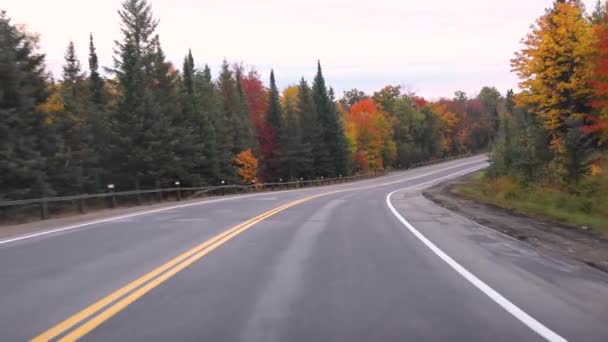 Dirigir na estrada americana com árvores ao redor no outono — Vídeo de Stock