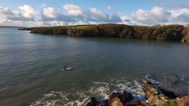 Hombre haciendo deporte, tabla de paddle, a la orilla del mar, vista aérea — Vídeos de Stock