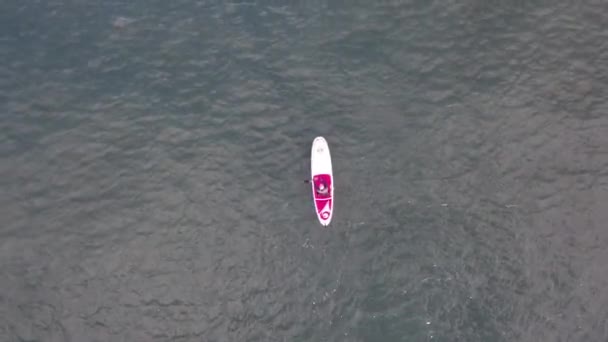 Mężczyzna uprawia sport, paddle board, nad morzem, widok z lotu ptaka — Wideo stockowe