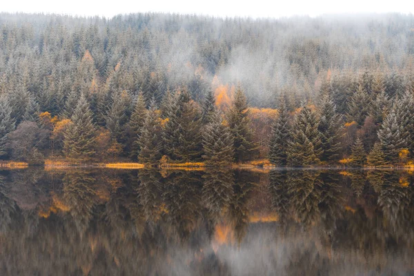 Güz Sahnesi Gölün Yanındaki Ağaçların Üzerindeki Sis Karamsar Bir Günde — Stok fotoğraf
