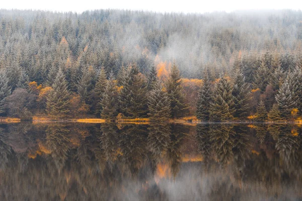 Cena Outono Névoa Sobre Árvores Lado Lago Natureza Viajar Composição — Fotografia de Stock