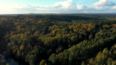 Sonbaharda güneş batarken kırsal ve orman odunlarının hava aracı görüntüleri, güzel renkler ve arka planlar, doğa ve seyahat ana kavramları, İngiltere, İngiltere 'de sahneler.