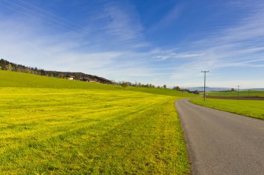 Taze yeşil dağ mera üzerinde otlatma inekler. İsviçre, alanları ve çayır hayvancılık. Alpler arka plan asfalt yolda