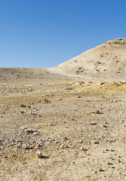 Colinas Rocosas Del Desierto Del Néguev Israel Impresionante Paisaje Las —  Fotos de Stock