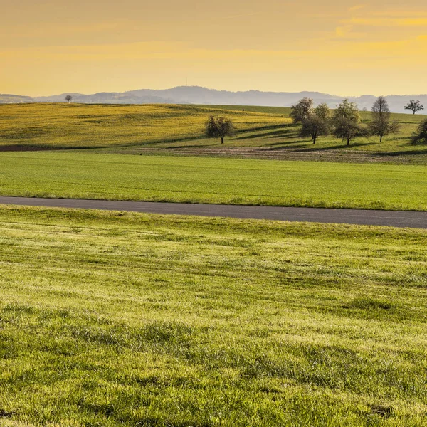 Camino Recto Asfalto Entre Pastos Suiza Amanecer Paisaje Suizo Con —  Fotos de Stock