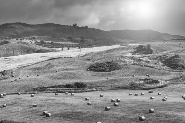 Sicilya hills gündoğumu adlı arka plan üzerinde buğday alanları. Saman balya ile hasat Sicilya sonra manzara. Siyah beyaz resim