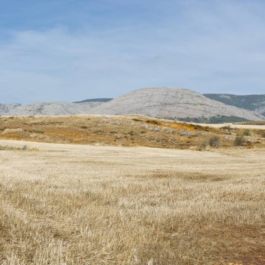 Cantabria Dağları İspanya Vadisi. Sabah, tepeler, mera ve güneş ışığı İspanyol manzara