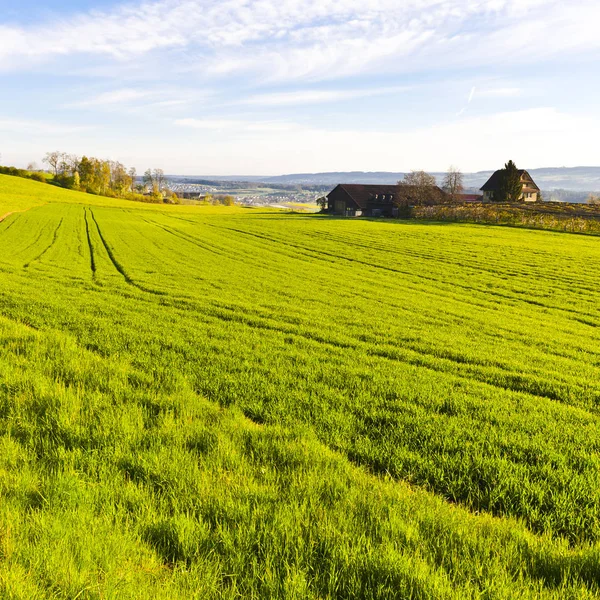 Pascolo Sullo Sfondo Delle Alpi Svizzera Mattina Presto Piccolo Villaggio — Foto Stock