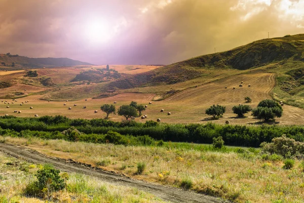 Vetefält Bakgrunden Sicilianska Kullar Vid Soluppgången Landskap Med Halmbalar Efter — Stockfoto