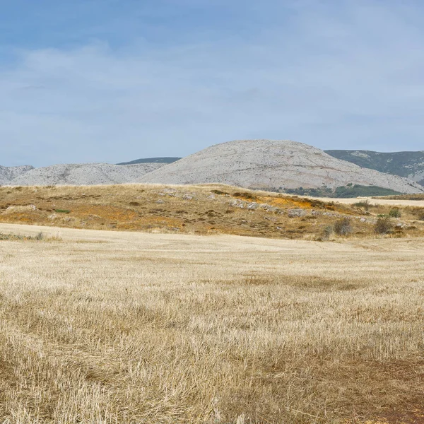 Valle Las Montañas Cantábricas España Paisaje Español Por Mañana Colinas — Foto de Stock