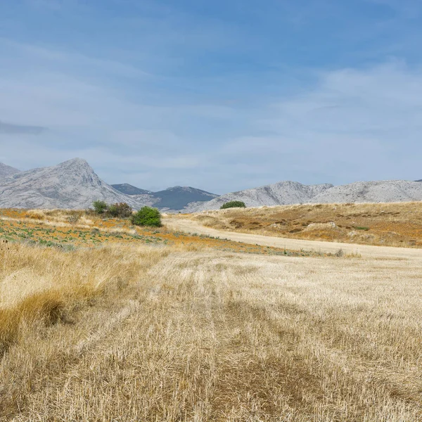 Dalen Söder Cantabriska Bergen Spanien Spanska Landskap Morgon Kullar Ängar — Stockfoto