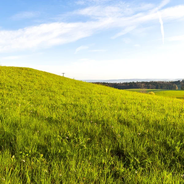 Swiss Landscape Forests Meadow Early Morning Agriculture Switzerland Arable Land — Stock Photo, Image