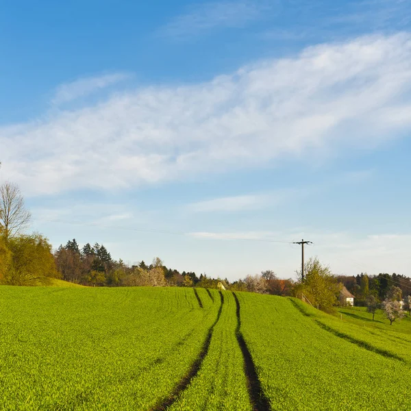 Rastreo Del Tractor Hierba Verde Los Alpes Bosques Pastos Suizos — Foto de Stock