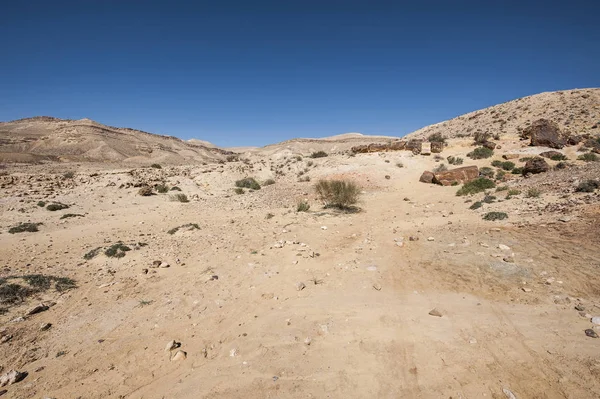 이스라엘의 사막에 바위투성이 들입니다 이스라엘 소름끼치는 — 스톡 사진
