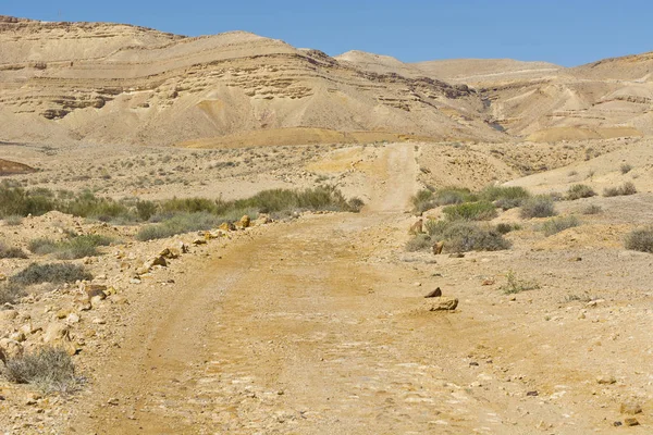 Rotsachtige Heuvels Van Negev Woestijn Israël Adembenemend Landschap Van Woestijnrotsformaties — Stockfoto