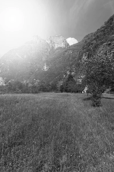 Morgennebel Den Italienischen Alpen Blick Auf Die Alm Italien Bei — Stockfoto