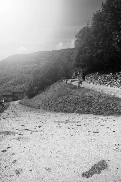 Morning Mist Dirt Road Italian Alps View Mountain Valley Village — Stock Photo, Image