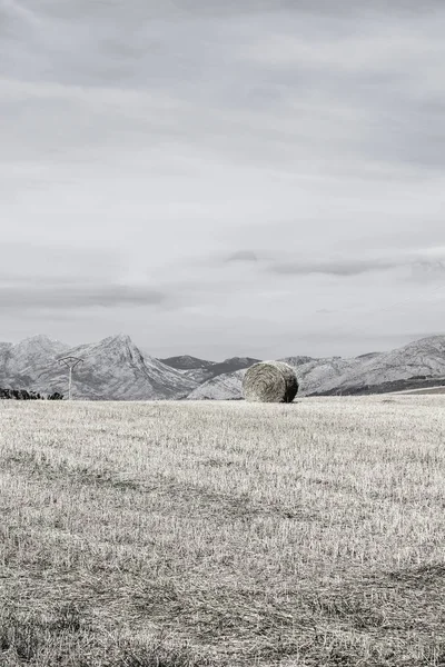 Balle Foin Sur Terrain Dans Montagne Cantabrique Espagne Tôt Matin — Photo