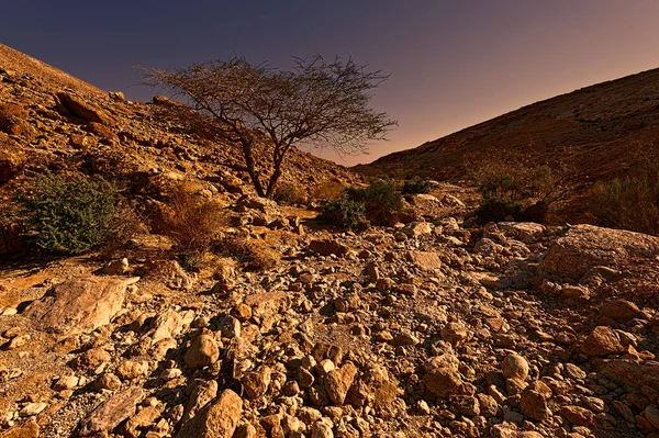 Rocky Hills Negev Desert Israel Sunset Wind Carved Rock Formations — Stock Photo, Image