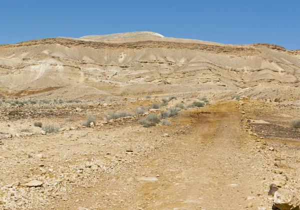 İsrail 'deki Negev Çölü' nün Rocky tepeleri. Güney İsrail Çölü 'ndeki çöl kaya oluşumlarının nefes kesici manzarası..