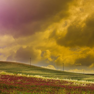 Sicilya Hills'te gündoğumu çiçekli alanların. 