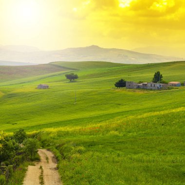 Gündoğumunda Sicilya manzarası, tepeler, tarlalar, çiçekler, çayırlar ve güneş ışığı