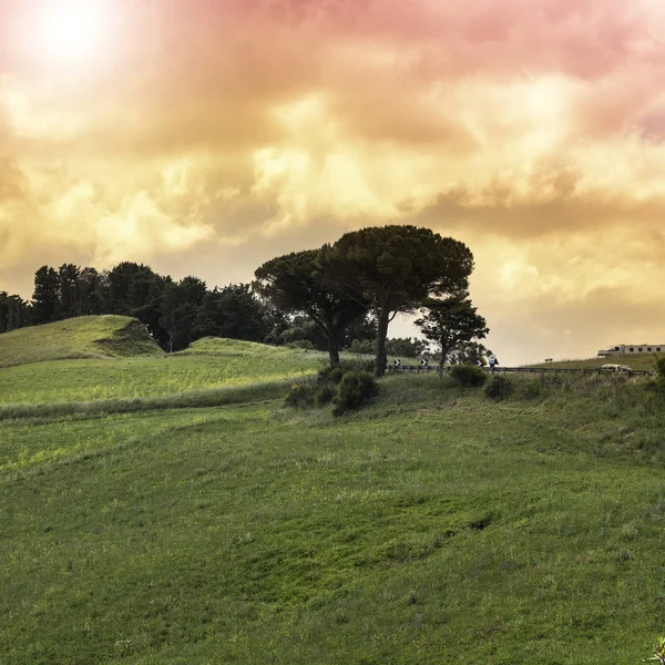 日の出 フィールド 牧草地や太陽の光でシチリアの風景 — ストック写真