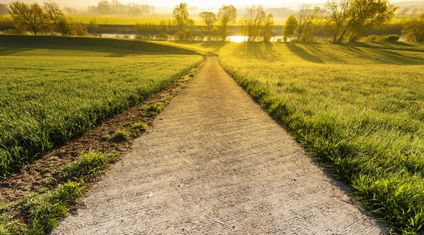 Paesaggio Svizzero Con Prati Lungo Canale Irrigazione All Alba Sentiero — Foto Stock