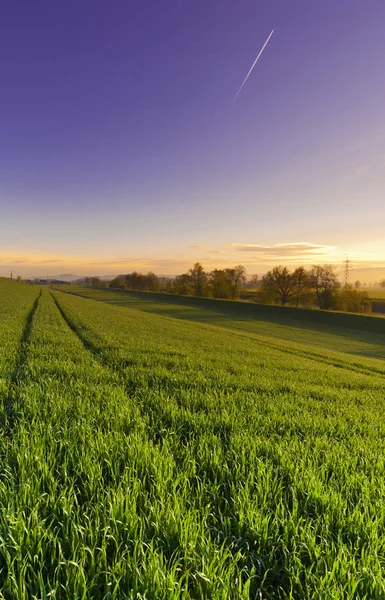 Pasture Background Alps Switzerland Sunset Swiiss Landscape Meadows Irrigation Canal — Stock Photo, Image