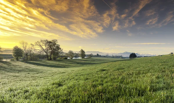 Pascolo Sullo Sfondo Delle Alpi Innevate Svizzera Tramonto Paesaggio Svizzero — Foto Stock