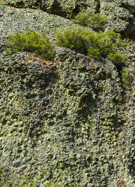 Steine Mit Moos Bedeckt Den Europäischen Gipfeln Spanien Frühen Morgen — Stockfoto