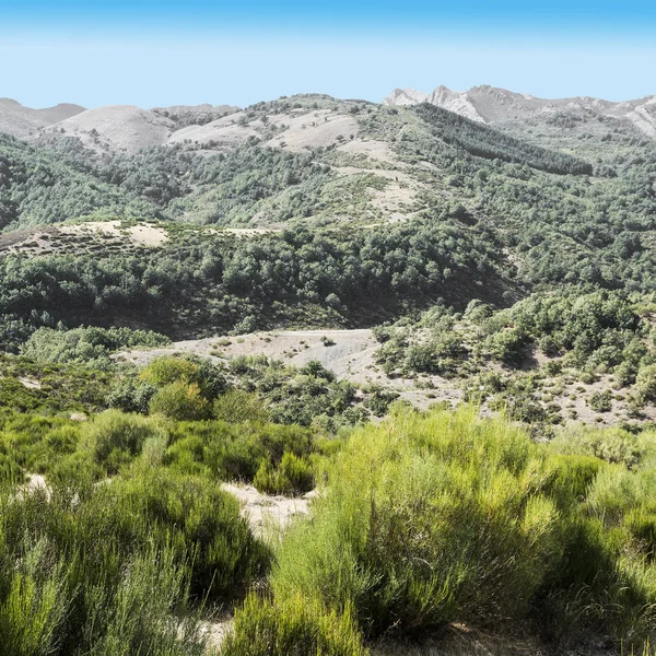 Krásná Krajina Španělsku Dramatickým Výhledem Kantábrijské Hory — Stock fotografie