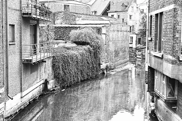 Grand Beguinage Της Πόλης Λουβέν Στο Βέλγιο Λέουβεν Είναι Πρωτεύουσα — Φωτογραφία Αρχείου