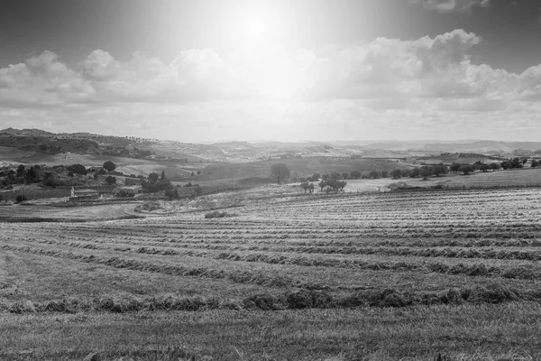 Champs Blé Sicile Après Récolte Paysage Sicilien Lever Soleil Collines — Photo