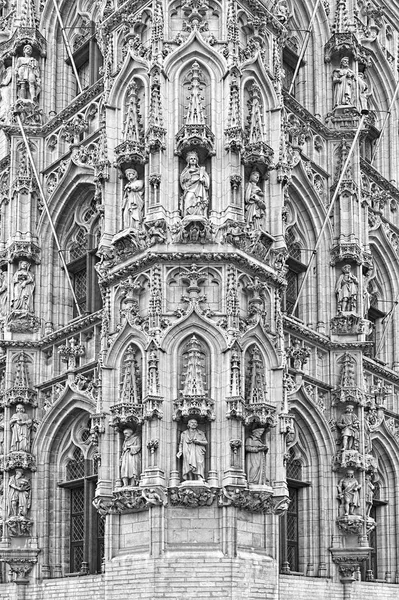 Leuven Belçika Flaman Brabant Province Başkentidir Belediye Binası Peter Kilisesi — Stok fotoğraf