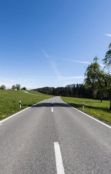 Smala Asfaltvägen Mellan Betesmarker Schweiz Schweiziska Landskap Med Ängar — Stockfoto